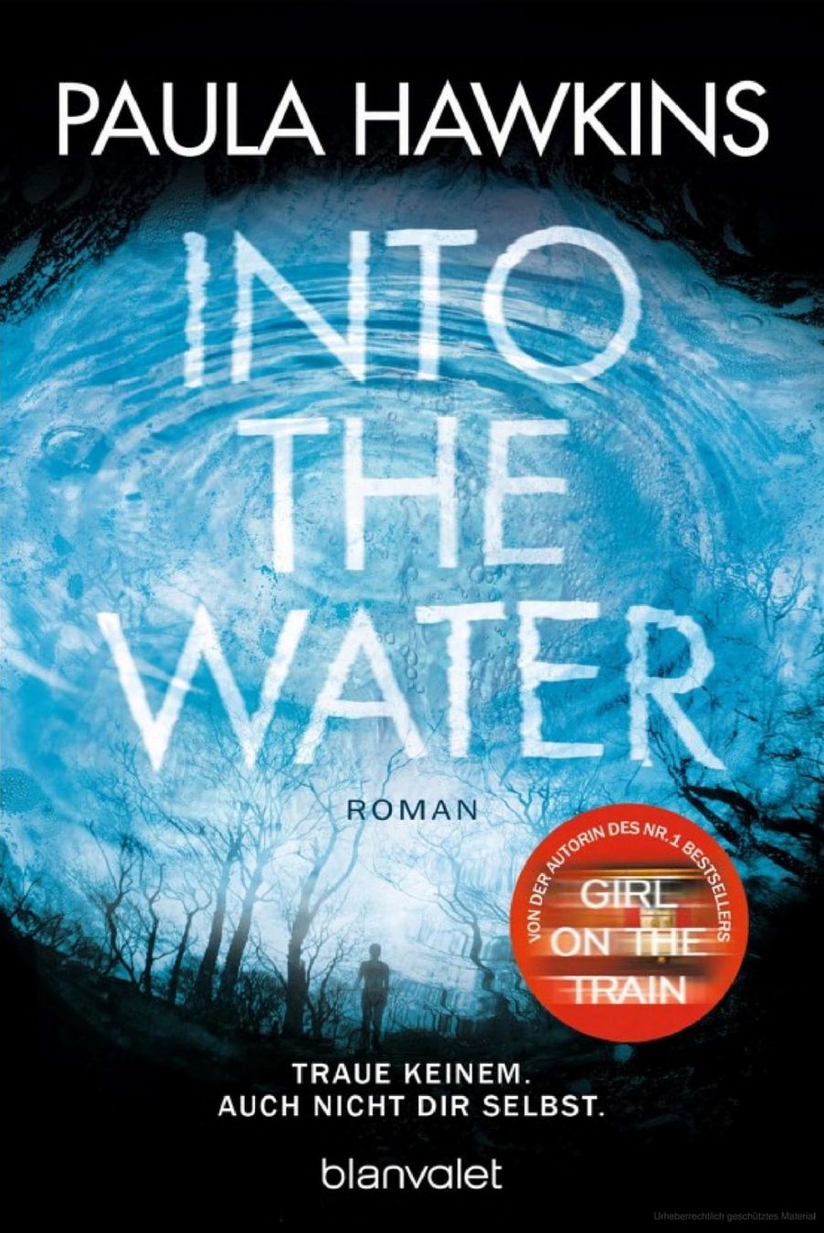 Libri: Into the Water von Paula Hawkins – Nuovo (secondo la descrizione) da Wagenhausen venduto da M.Sieg
