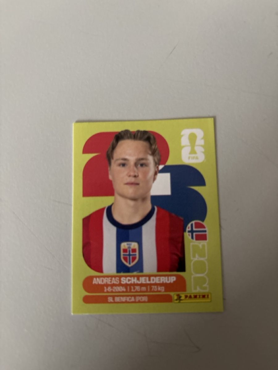 Panini Sammelbilder & Trading cards: Panini Bild NOR12 – Neu (gemäss Beschreibung) aus Rechthalten von Thierry_89
