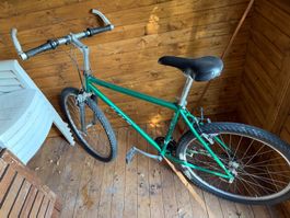 VÉLO adulte