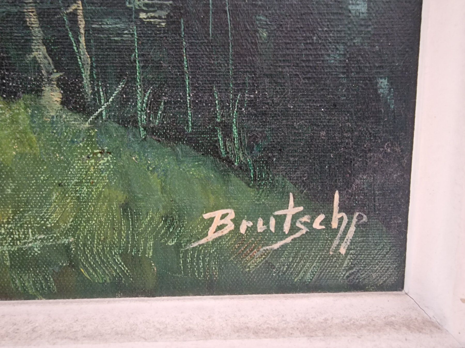 Foto & Immagini: Bild mit Rotwild – Usato da Urnäsch venduto da Rothirsch1954 1