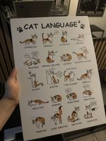 Displate Katzen neu