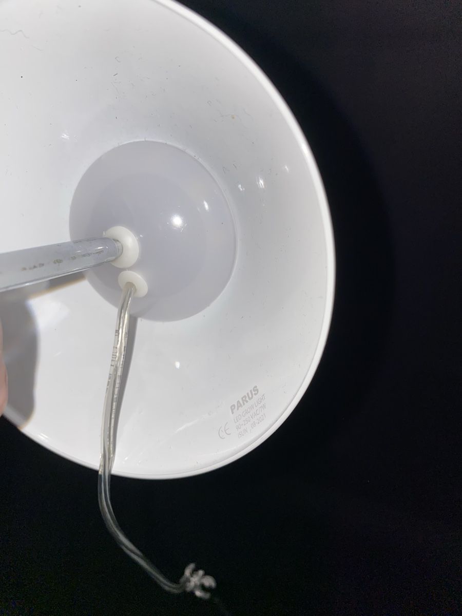Lampade: Pflanzen UV-Lampe – Usato da Wetzikon ZH venduto da rit_ramtr 1