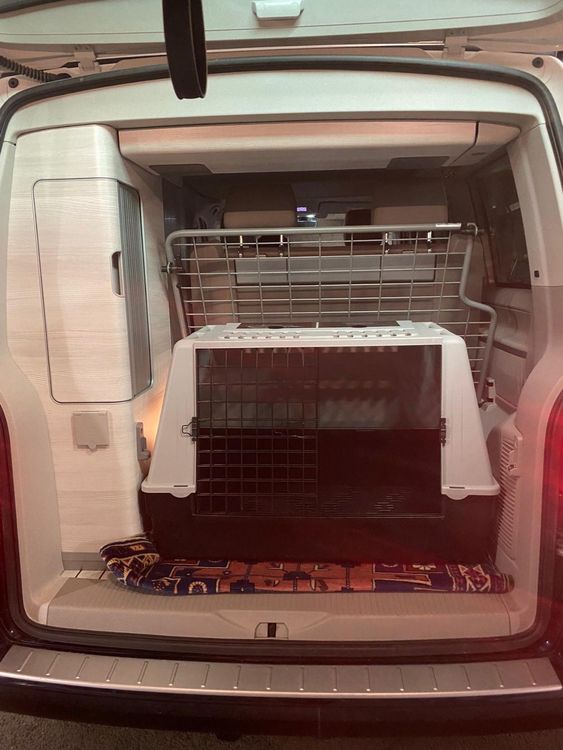 Hundebox T6 Innenraum