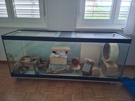 Terrrarium 146×40×58cm