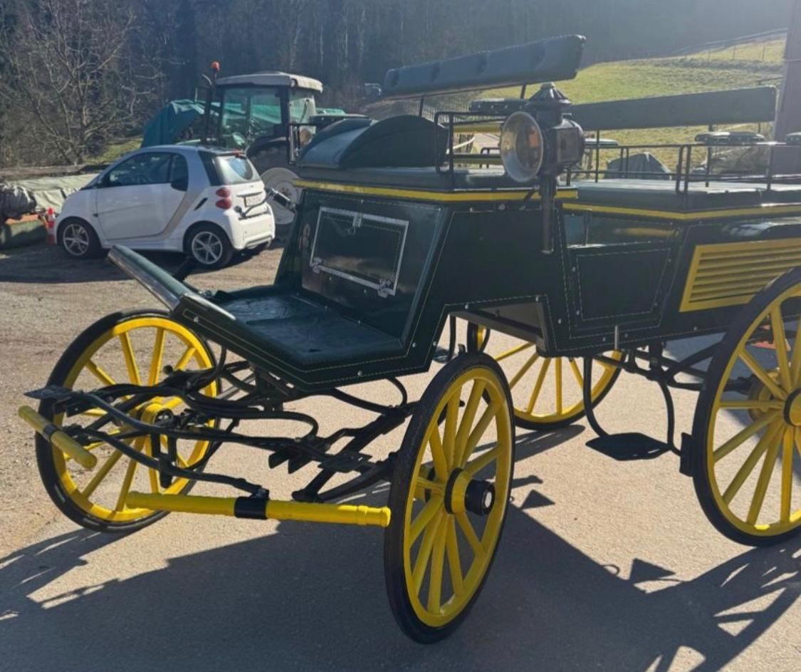 Kutschen: Jagdwagen  – Gebraucht aus Eglisau von HB9ELV
