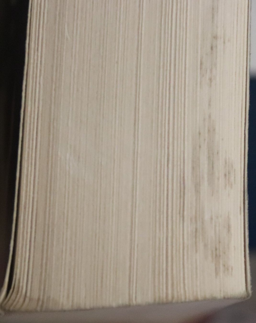 Libri: Der Inquisitor von Wolfgang Hohlbein – Usato da Glattfelden venduto da Vrenely 6