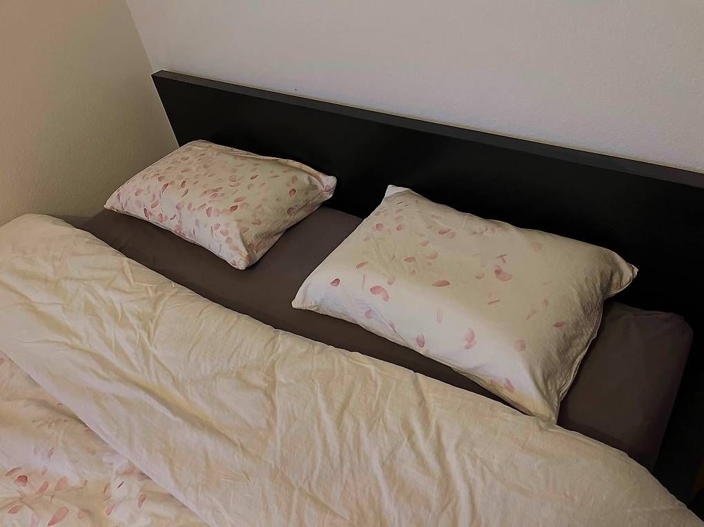 Ikea Letti: GRATIS IKEA MALM Bed Frame Black 180×200 cm Good Condition – Usato da Zürich venduto da jna_265b 2