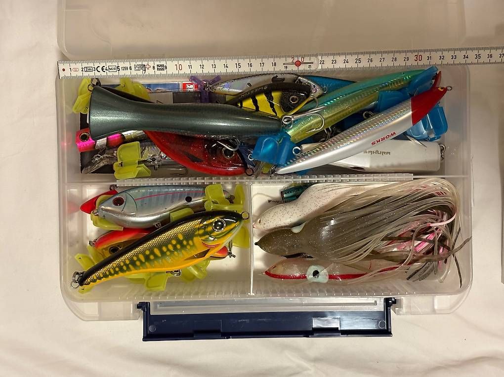 Esche: Mega-Set Meeresköder: Jigs, Popper & Big Game Lures – Usato da Herrliberg venduto da axelvb