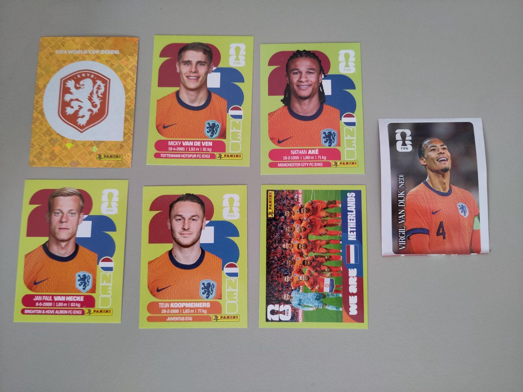 Panini Carte collezionabili: FIFA Panini Netherlands + Coca Cola Van Dijk (NED) – Usato da Bern venduto da gil_rkx8