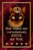 Blechschild-HIER WOHNT VERWÖHNT. KATER