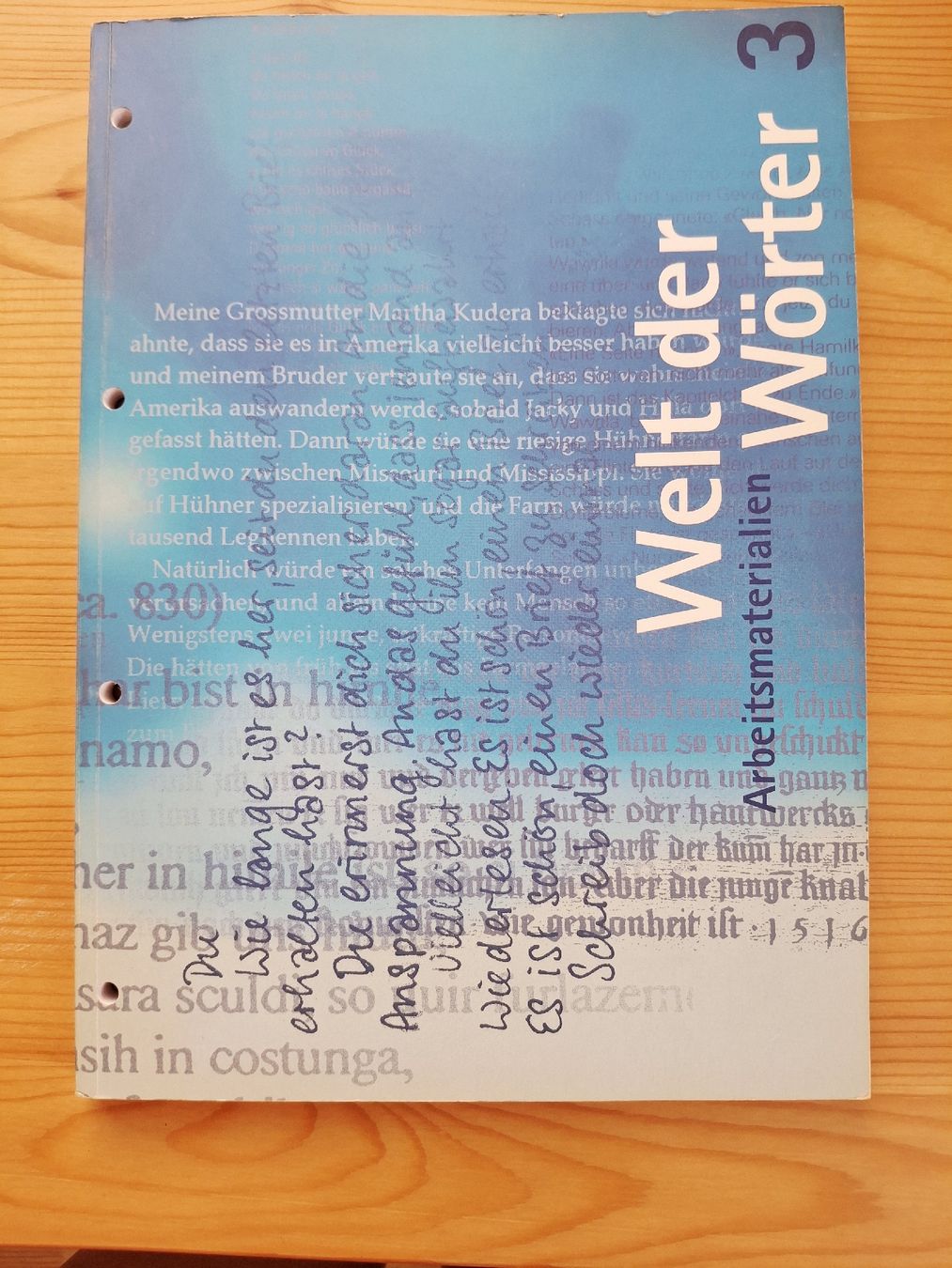 Libri: Arbeitsmaterialien "Welt der Wörter 3" – Usato da Zürich venduto da wildflower26