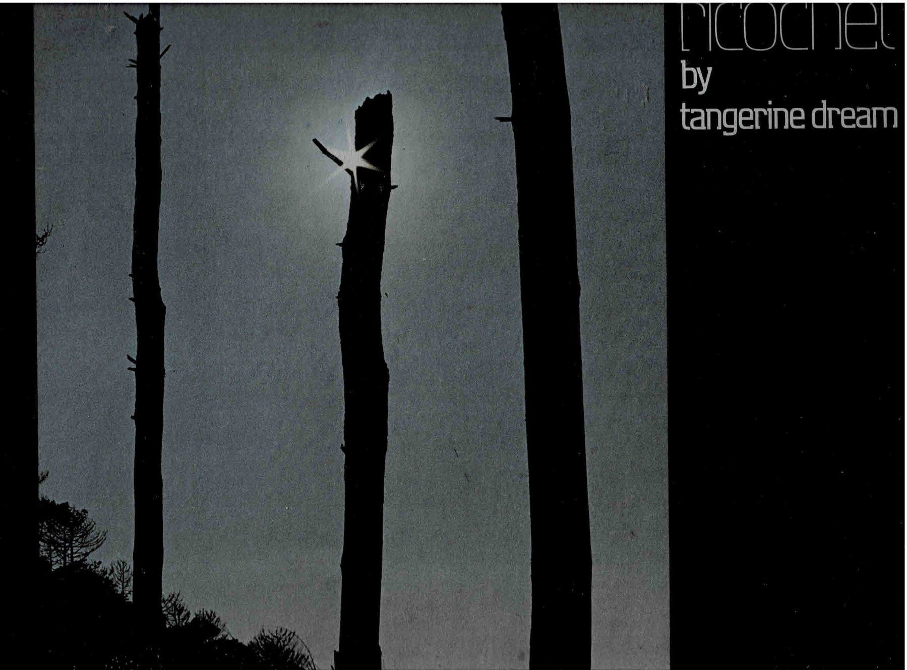 Dischi in vinile: Tangerine dream  ricochet – Usato da Sulz AG venduto da Oberdanne8