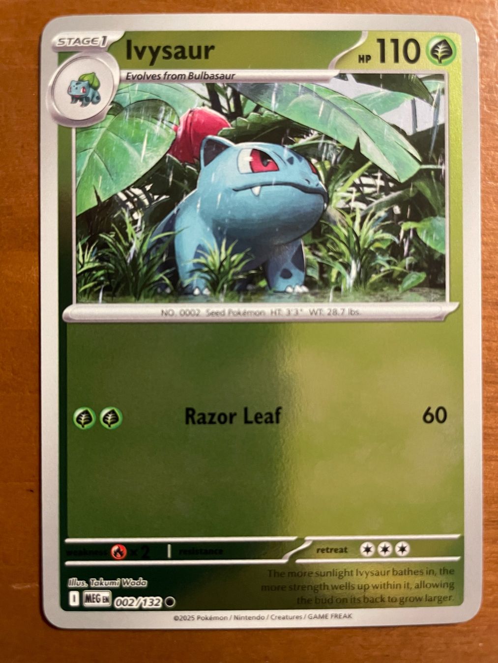 Pokémon Carte collezionabili: Pokemon Ivysaur Reverse (Versand gratis) – Nuovo (secondo la descrizione) da Chur venduto da Angerson