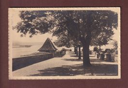 RAPPERSWIL - Lindenhof - 1921