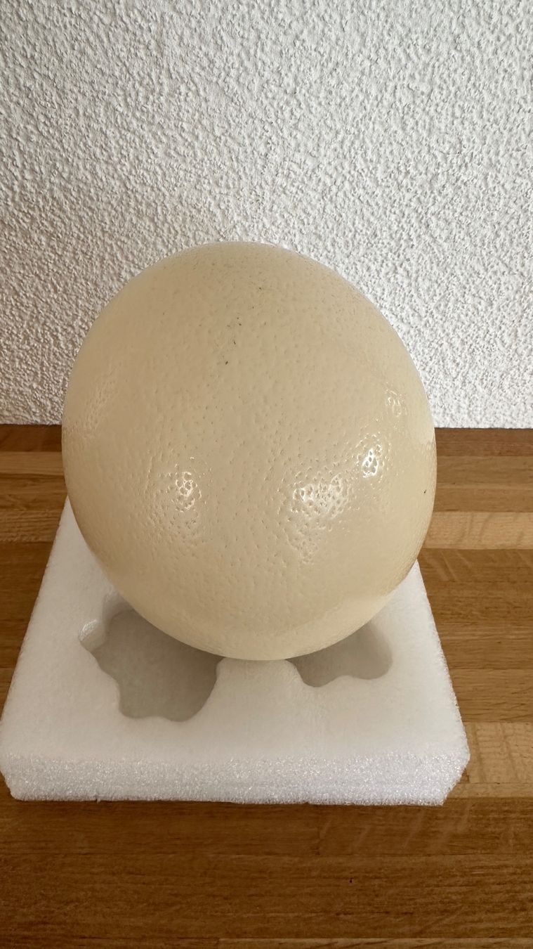 Tutte le decorazioni: Straussenei Natur – Usato da Winterthur venduto da Secondhand-Family 5