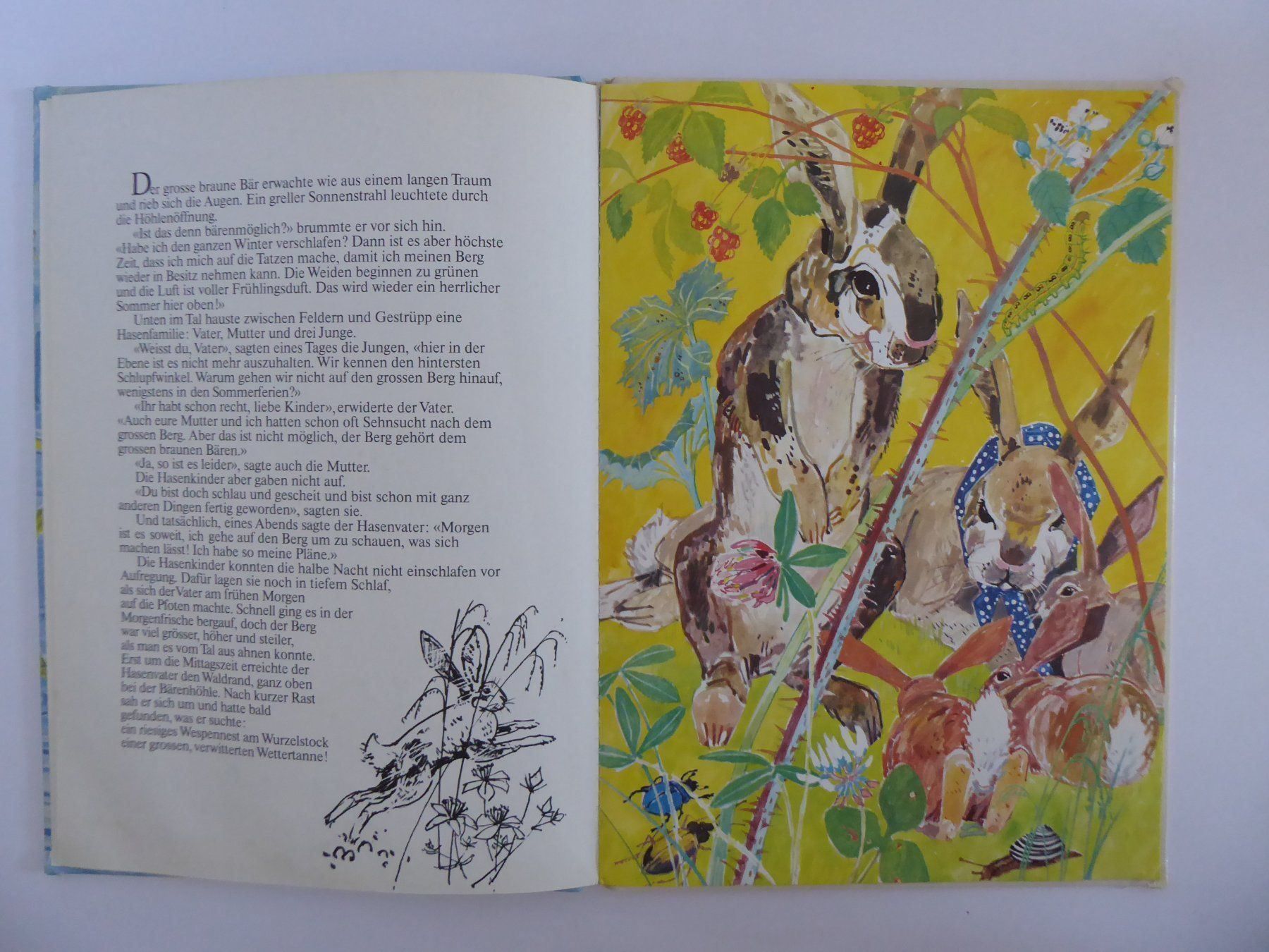 Bücher: Der Berg des grossen Bären, Classen 1976 – Gebraucht aus Turbenthal von Panau 2