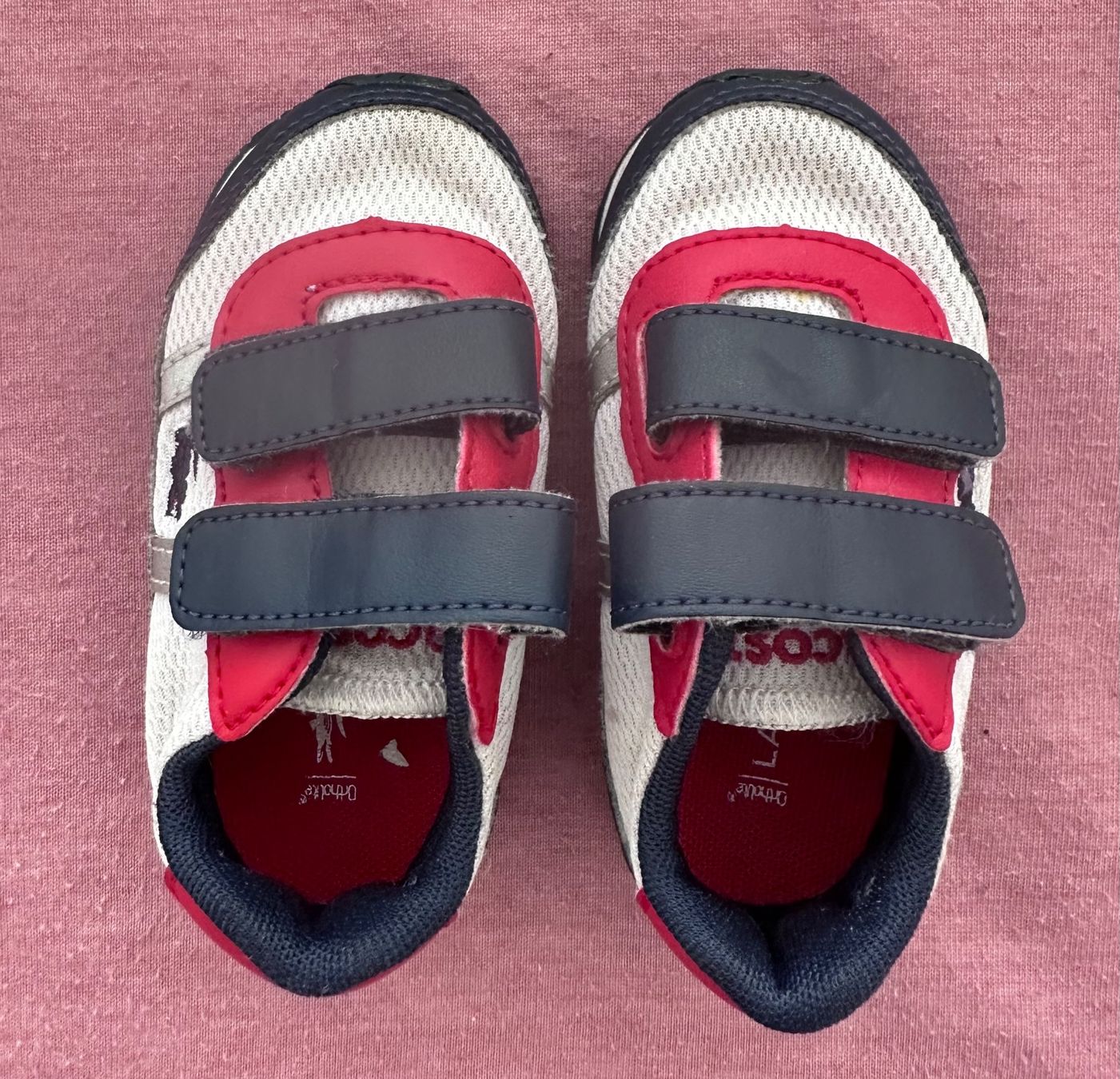 Lacoste Scarpe per ragazzi: Lacoste Schuhe – Usato da Dürrenroth venduto da tvy_bh56 1