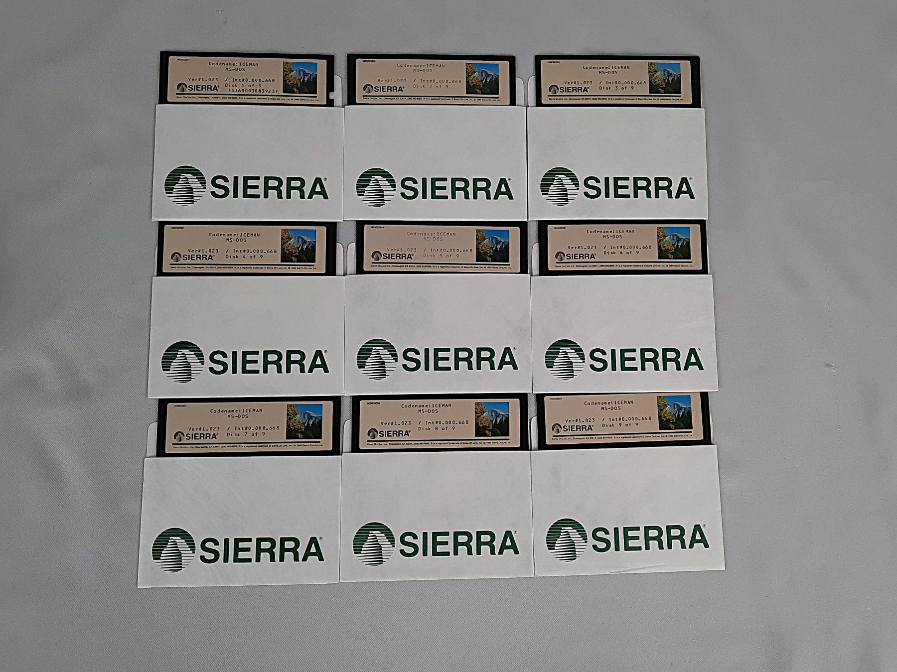 Giochi: CODENAME: ICEMAN-Sierra Big Box 13 Disketten – Usato da Beinwil am See venduto da Restwert_Beinwil 3
