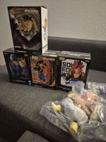 Dragon Ball Figuren, direkt persönlich nach Japan gebracht