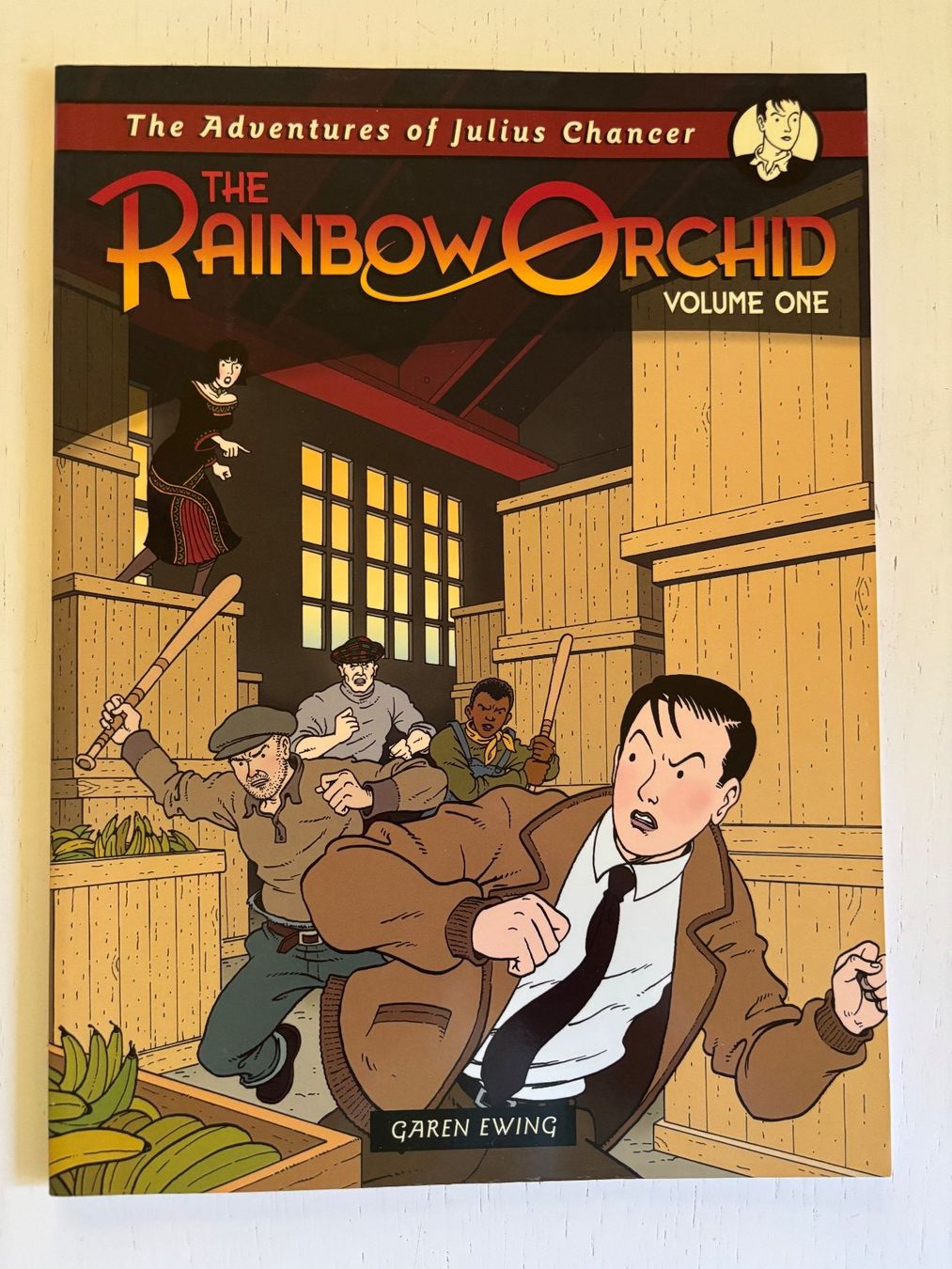 Comics: The Rainbow Orchid – Gebraucht aus Zürich von taleimagination