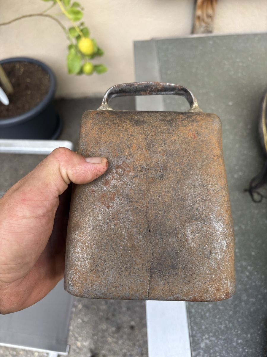 Campanacci mucche: 2 Bissen I.Zwyer Altdorf. – Usato da Schangnau venduto da Roseggli82 6