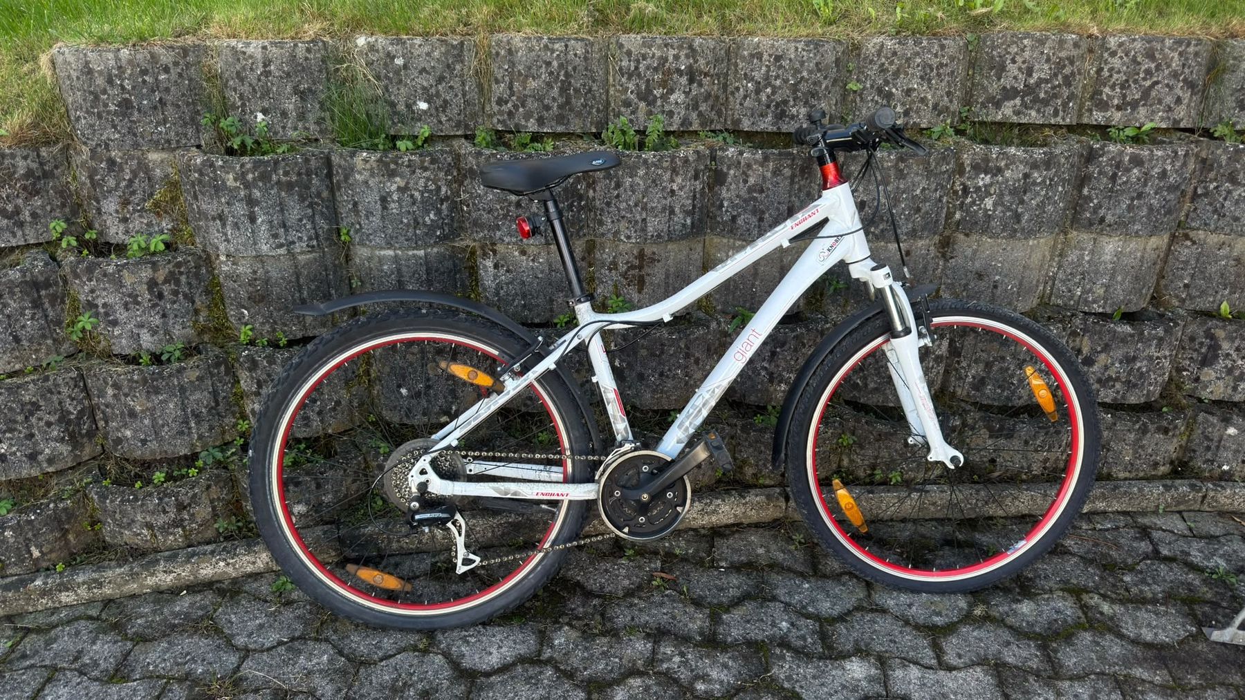 Vélos: Giant – Défectueux à Frauenfeld par Pukaloxxx