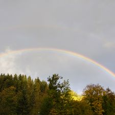 Profile image of Rainbow18
