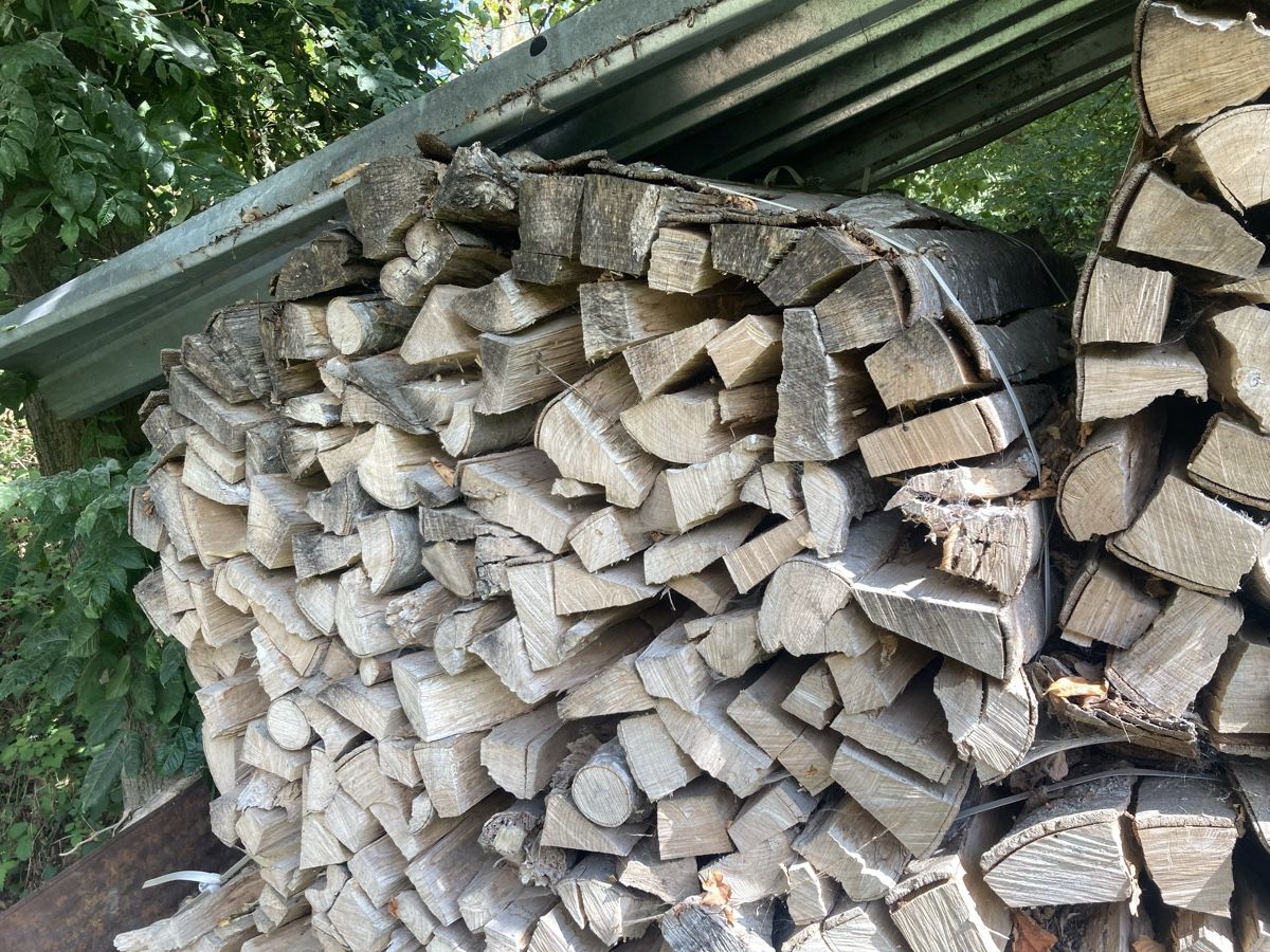 Holzartikel: Brennholz Buche – Neu (gemäss Beschreibung) aus Hosenruck von Fox690 1