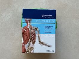 Lernkarten Bewegungssystem Prometheus