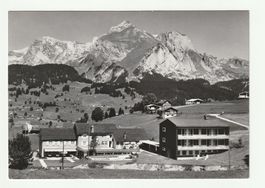 Ansichtskarte Hotel Alpenrose Wildhaus 1966
