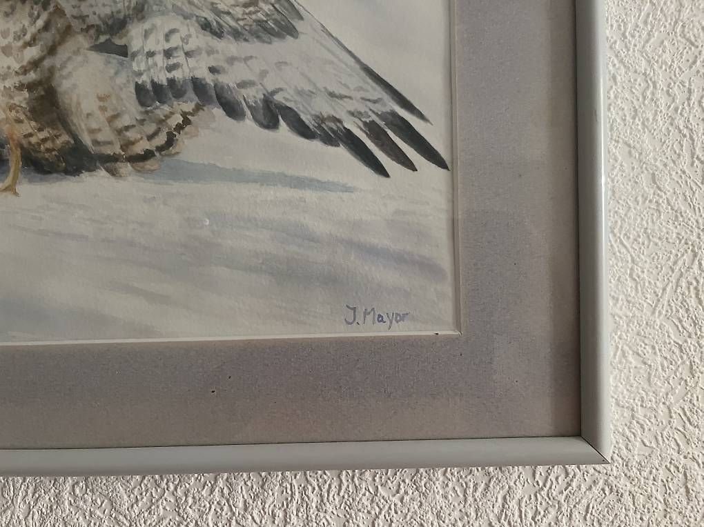 Dipinti: Aquarelle – Usato da Chevroux venduto da ateca2017 1