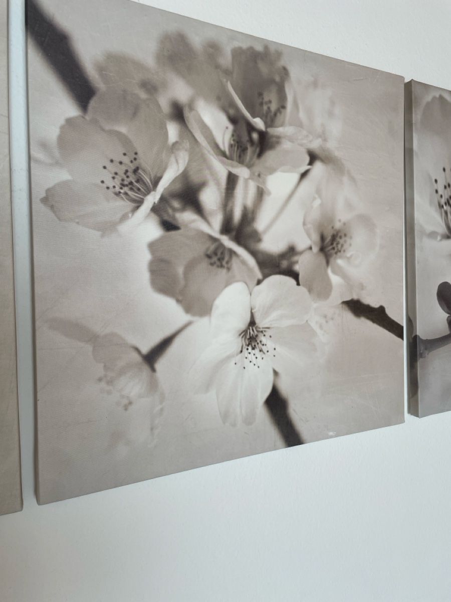 Foto & Immagini: Triptychon Apfelblüte – Usato da Freidorf TG venduto da ibipatria 1