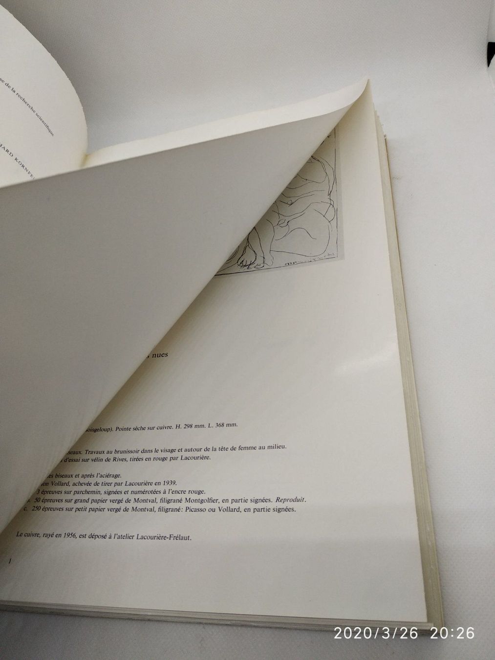 Libri: PABLO PICASSO WERKVERZEICHNIS – Usato da Goldach venduto da Gaip 3