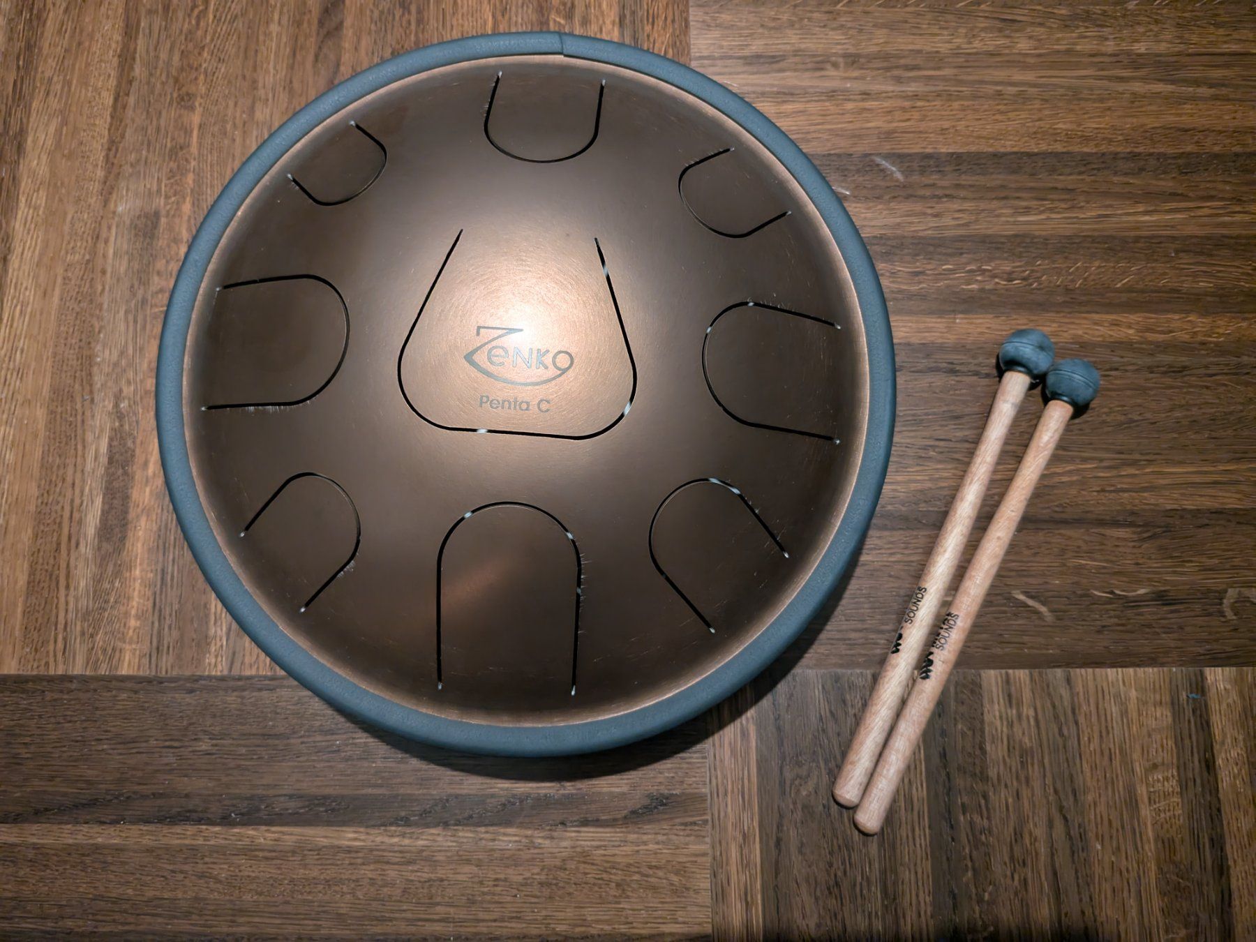 Strumenti musicali: Zenko Steel Tongue Drum - Penta C – Usato da Zürich venduto da salaciamilkyway 1