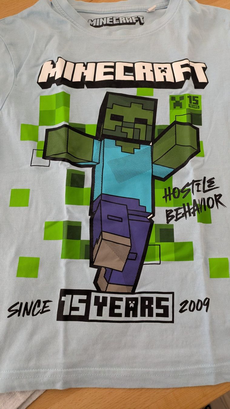 Camicie, T-shirt & Polo: MINECRAFT - T-Shirt Set - Gr. 134 – Usato da Staufen venduto da Fleby84 1