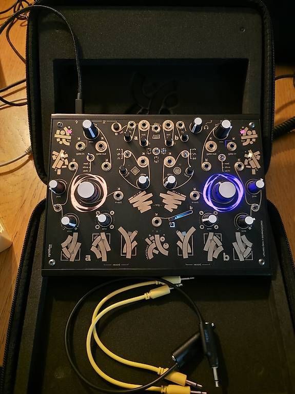 Musikinstrumente: Synthux Spotykach Looping Playground – Neu (gemäss Beschreibung) aus Bern von fre_22ld