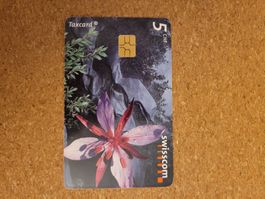 Taxcard Blume