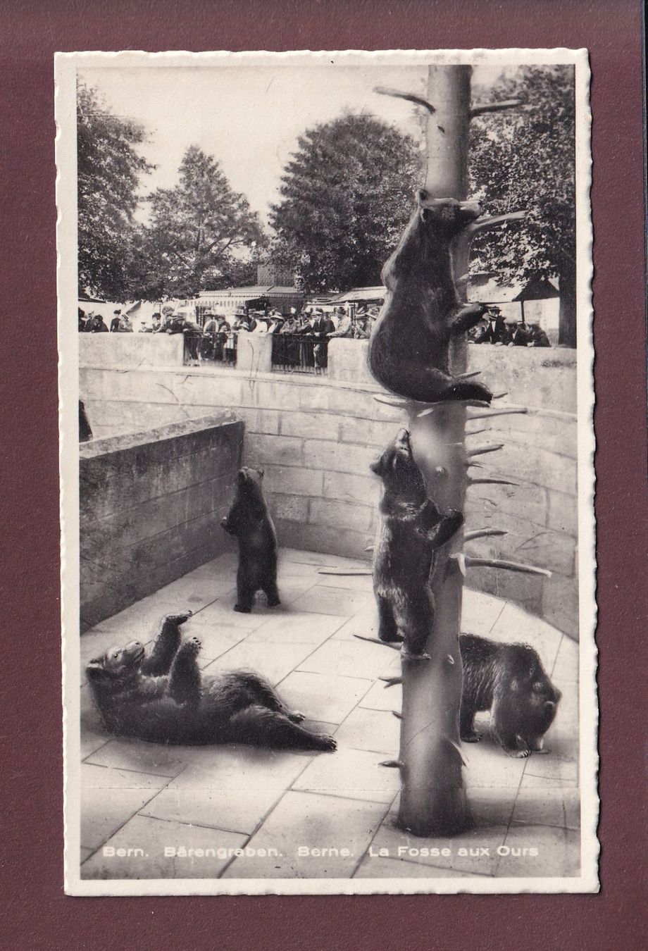 Cartes postales: BERN - Bärengraben - 1925 – D'occasion à Pully par nicecards
