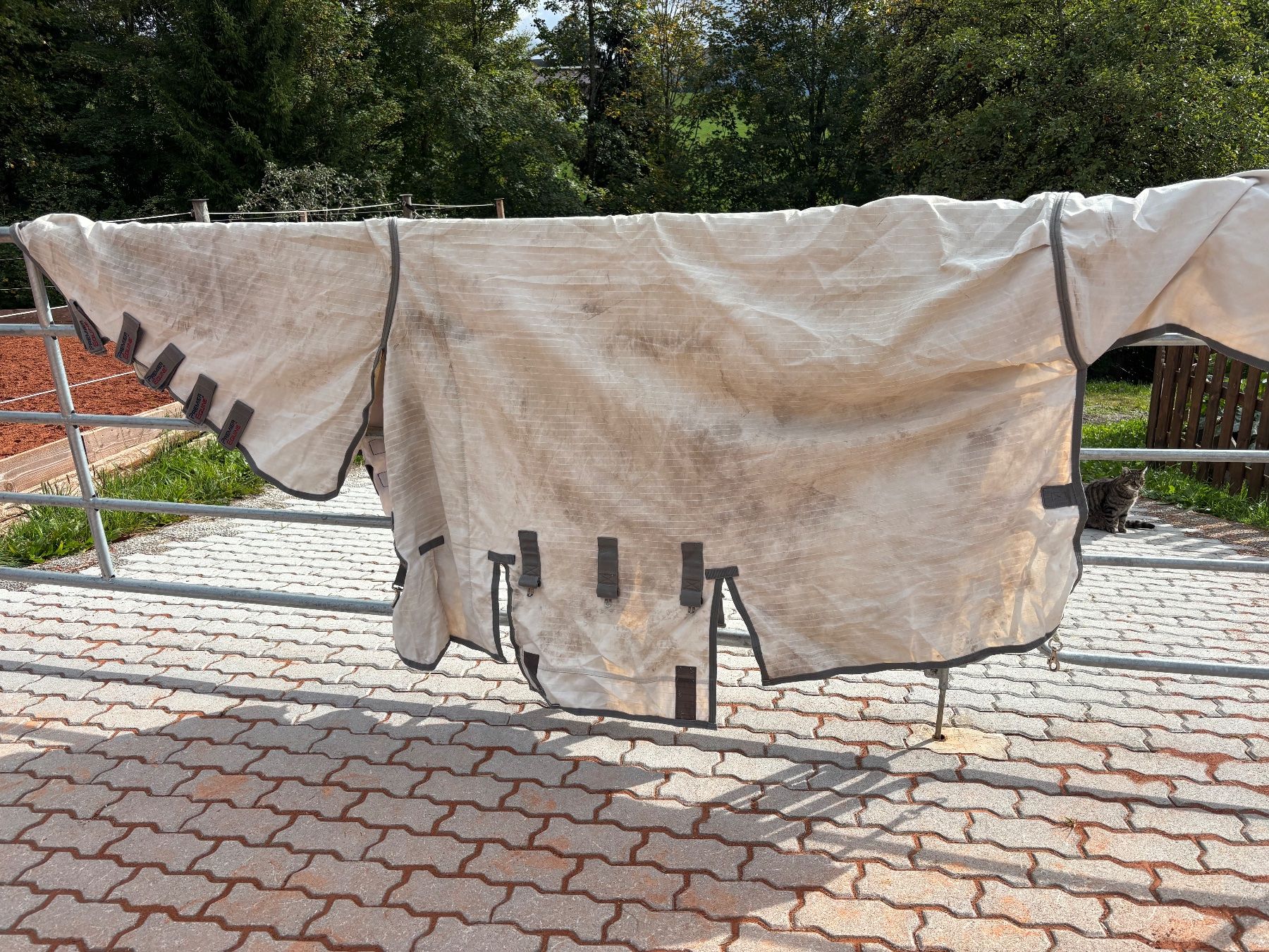 Coperte & Accessori: Premier Equine Ekzemerdeck 155 – Usato da Algetshausen venduto da man_p7gb 1