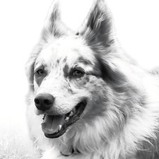 Profile image of nala_66