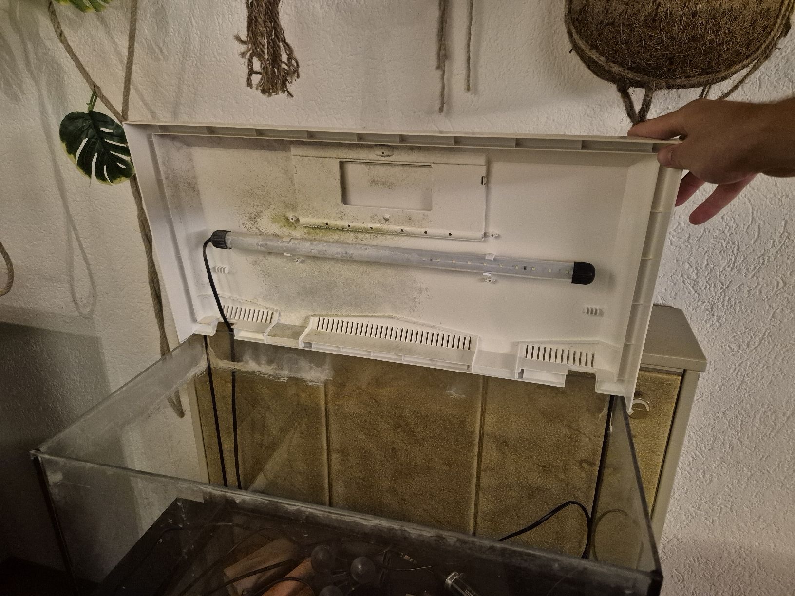 Acquari: Aquarium mit Möbel – Usato da Schnottwil venduto da Rooneeyy 2