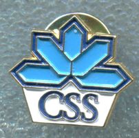 CSS  Logo