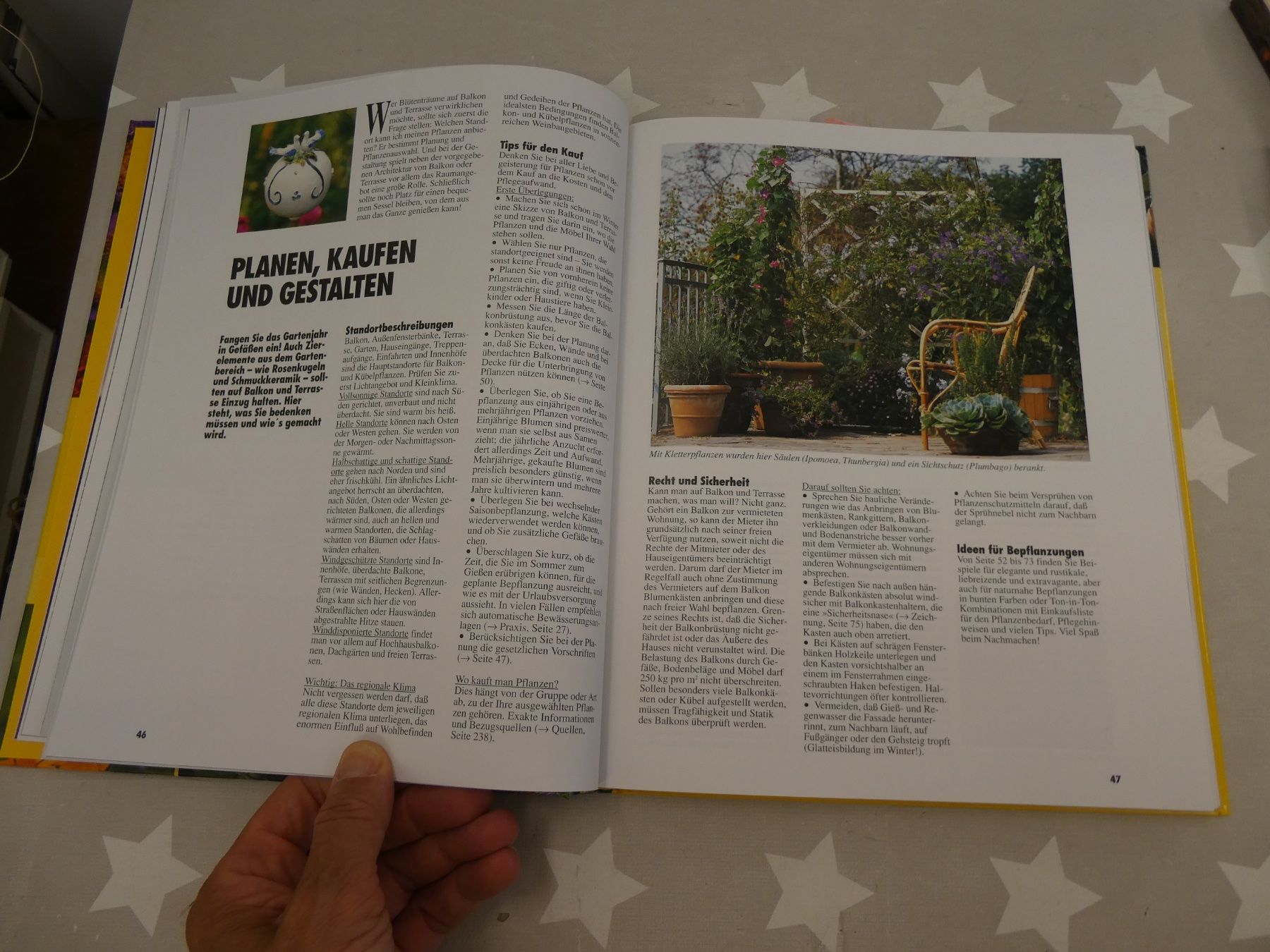 Libri: Buch: Balkon & Kübelpflanzen Halina Heitz – Usato da Rafz venduto da Powacaddy 3