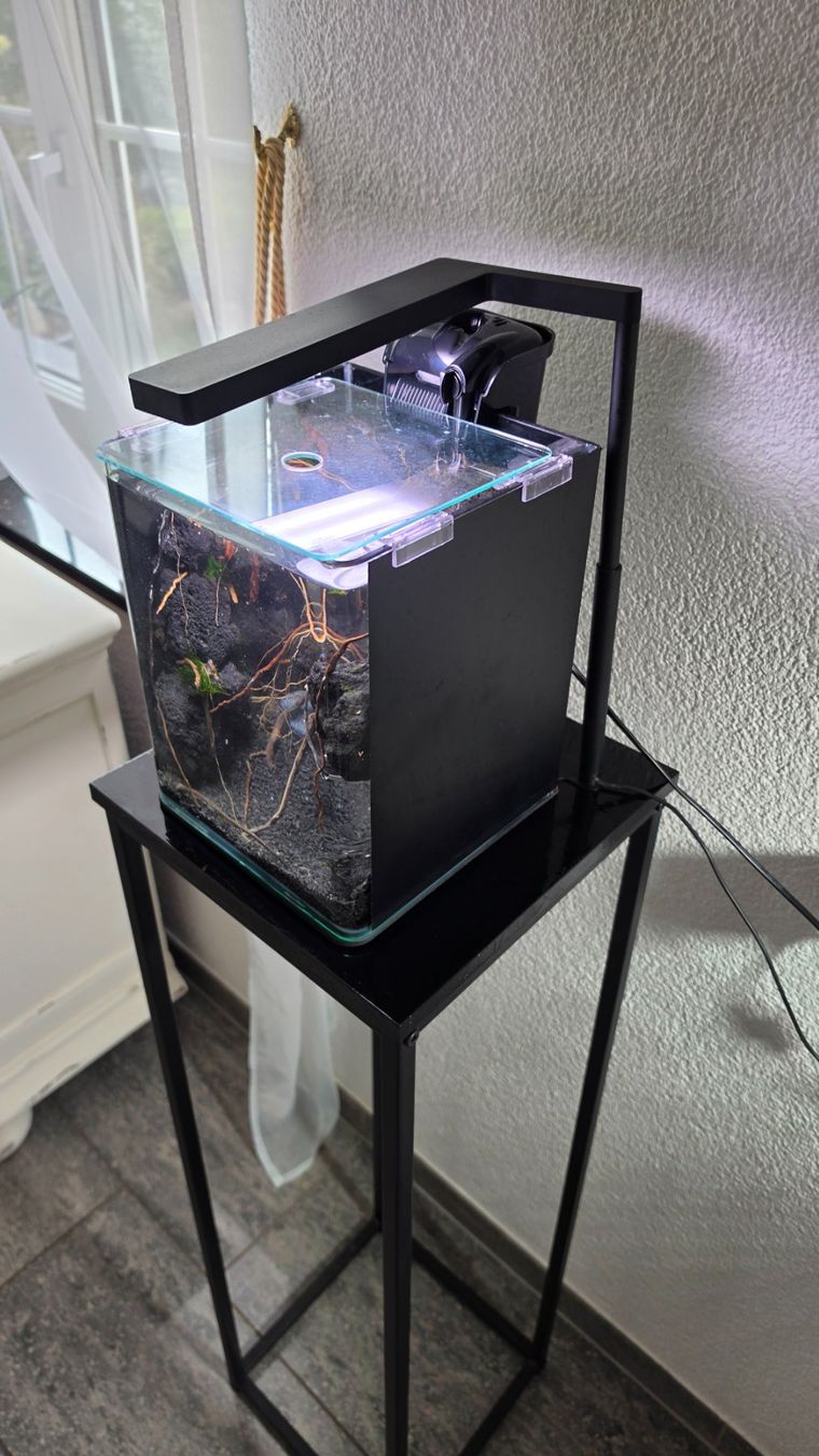 Acquari: Nano Aquarium Schlucht imitation – Usato da Obergerlafingen venduto da Deluxepoint 3