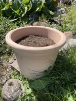 Terracotta Ton Topf