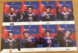 9 Autogrammkarten EHC Kloten 26/27