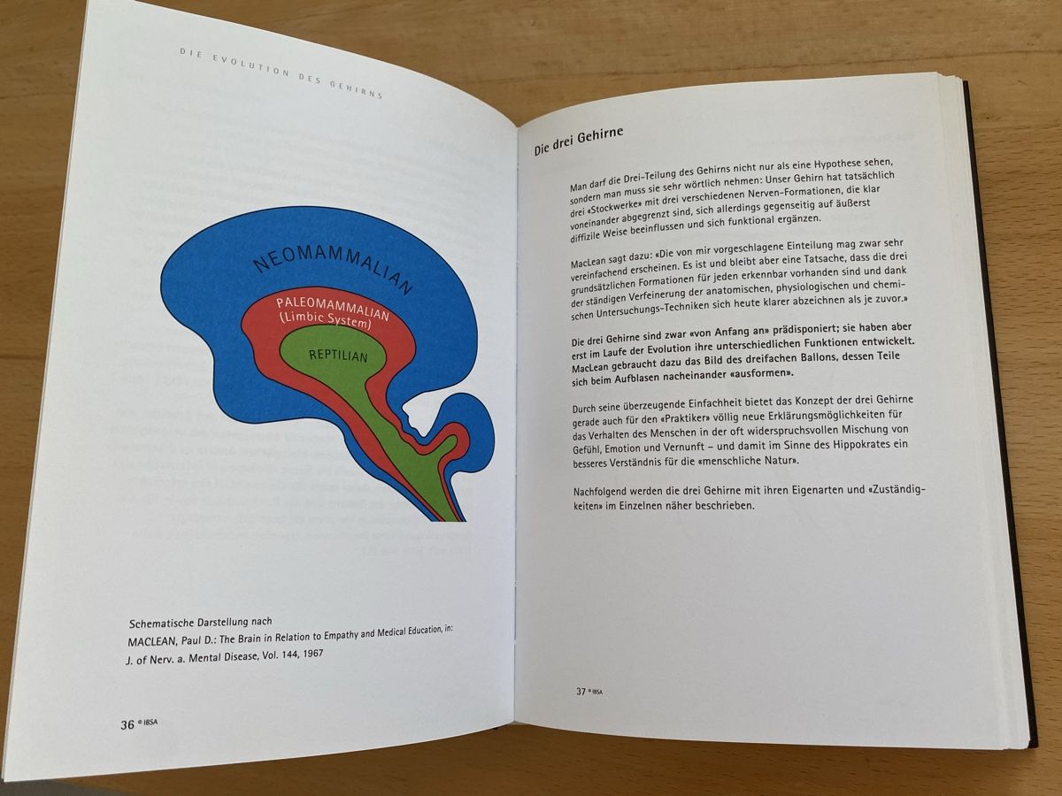Livres: Evolution der Persönlichkeit - Juergen Schoemen – D'occasion à Schwarzenburg par Michellu 9
