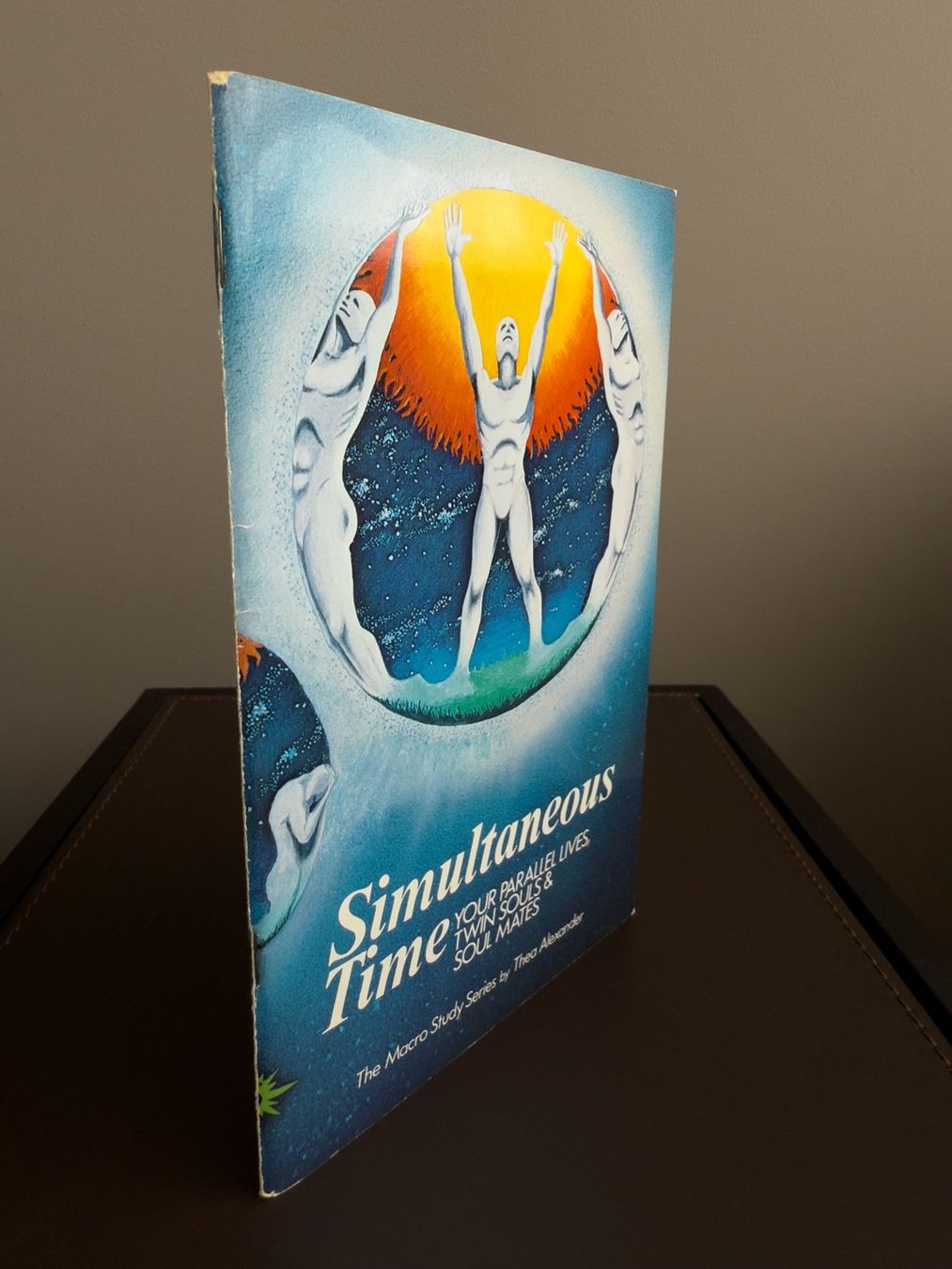 Libri: Thea Alexander. Simultaneous Time – Usato da Schindellegi venduto da dancer12516 2