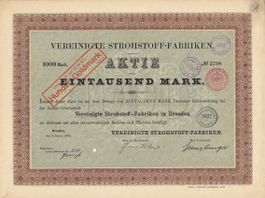 Vereinigte Strohstoff-Fabriken in Dresden, Dresden - 1906