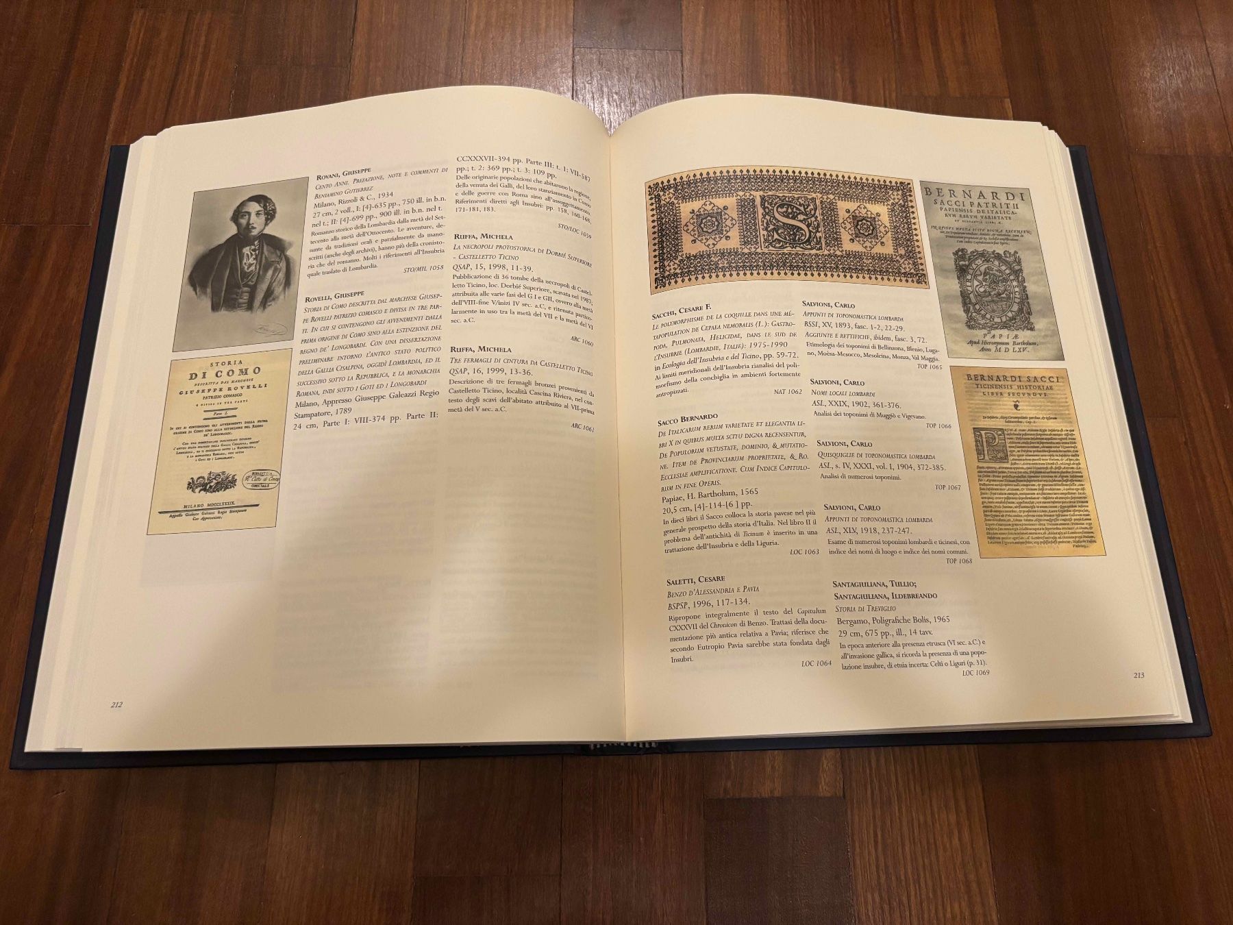 Libri: Insubres e Insubria – Usato da Lugano venduto da Mark_Young 2